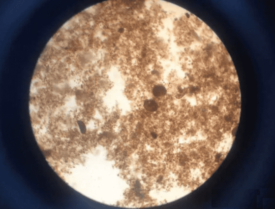 微信截图_20201230152316 微信截图_20201230152316