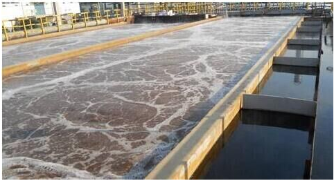 污泥是一种危险的固体废物吗？