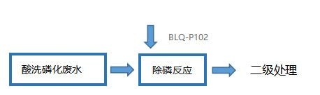 新方案